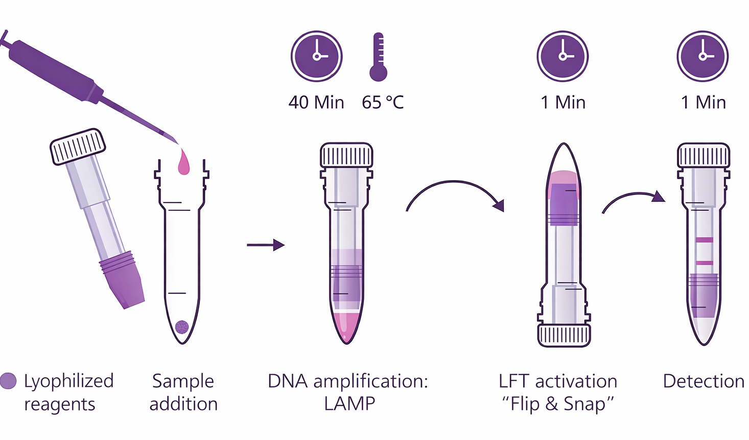 This is our product demonstration for lactose intolerance