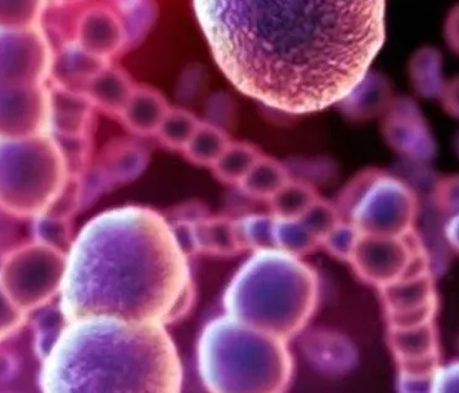 tab-img-2 Eralydix | Lactase Deficiency Diagnosis | Lactose Intolerance Test